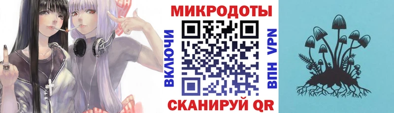 Купить  Кашин  Псилоцибиновые грибы мухоморы 